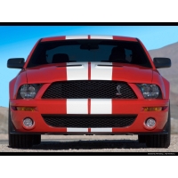 2007 Ford Shelby GT500,      