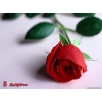 8 марта обои (4 шт.) 8 марта обои (4 шт.)