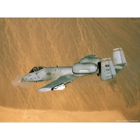A-10 Thunderbolt  (5 .)