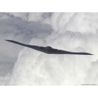 B-2 обои (4 шт.) B-2 обои (4 шт.)