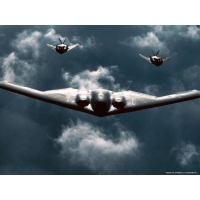 B-2 обои (4 шт.) B-2 обои (4 шт.)
