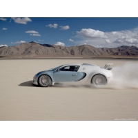 Bugatti Veyron  (44 .)