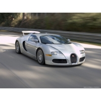 Bugatti Veyron  (44 .)