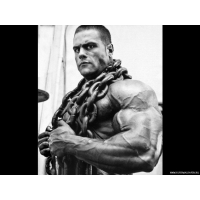 Evan Centopani, широкоформатные обои и большие картинки Evan Centopani, широкоформатные обои и большие картинки