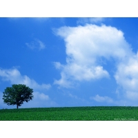 Windows обои (10 шт.) Windows обои (10 шт.)
