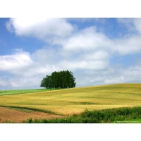 Windows обои (10 шт.) Windows обои (10 шт.)