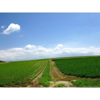Windows обои (10 шт.) Windows обои (10 шт.)