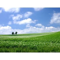 Windows обои (10 шт.) Windows обои (10 шт.)