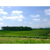 Windows обои (10 шт.) Windows обои (10 шт.)