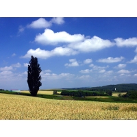 Windows обои (10 шт.) Windows обои (10 шт.)