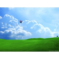 Windows XP,  -    