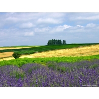Windows XP, фото обои и картинки Windows XP, фото обои и картинки
