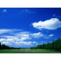 Windows XP, картинки и красивые обои Windows XP, картинки и красивые обои