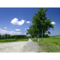 Windows XP, широкоформатные обои и большие картинки Windows XP, широкоформатные обои и большие картинки