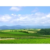 Windows XP, новейшие обои и фото Windows XP, новейшие обои и фото
