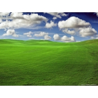 Windows XP,      