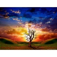 Windows XP, скачать обои для рабочего стола и картинки Windows XP, скачать обои для рабочего стола и картинки