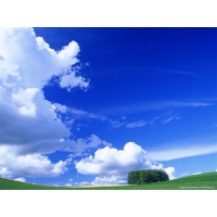 Windows XP, скачать картинки на рабочий стол и обои Windows XP, скачать картинки на рабочий стол и обои