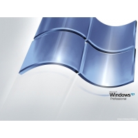 Windows XP  (87 .)