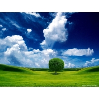 Windows XP, картинки, заставки на рабочий стол бесплатно Windows XP, картинки, заставки на рабочий стол бесплатно