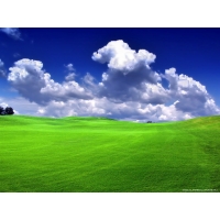 Windows XP, ,     