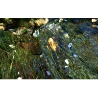 Вода обои (4 шт.) Вода обои (4 шт.)