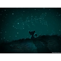 Коты обои (4 шт.) Коты обои (4 шт.)