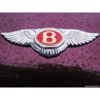 Bentley  (46 .)