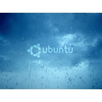 Ubuntu  (4 .)