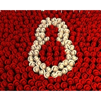 8 марта обои (11 шт.) 8 марта обои (11 шт.)