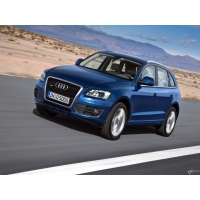 Audi Q5 (2009)        
