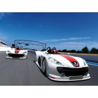 Peugeot Spider обои (2 шт.) Peugeot Spider обои (2 шт.)