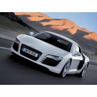 Audi R8   ,   -   