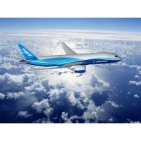 Boeing 787 Dreamliner        