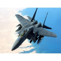 F-15 Eagle         