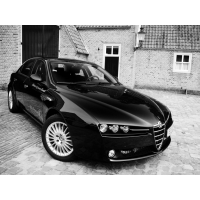 Alfa Romeo      