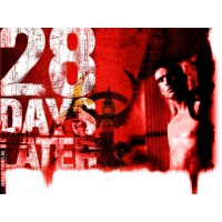 28   (28 days later)    