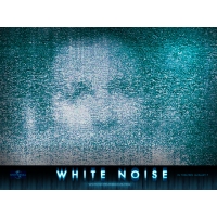   (White noise) ,        
