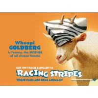   (Racing Stripes)       