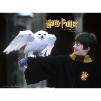   (Harry Potter)     