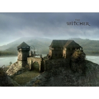 The Witcher         