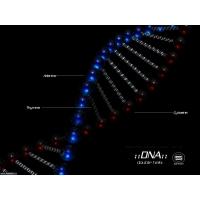 Абстракции Double Helix новые рабочие столы Абстракции Double Helix новые рабочие столы