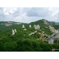 Цветы обои (4 шт.) Цветы обои (4 шт.)