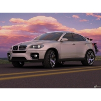 BMW x6  (23 .)