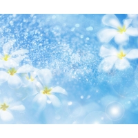 Flowers 3d картинки и обои для рабочего стола 1024 768 Flowers 3d картинки и обои для рабочего стола 1024 768