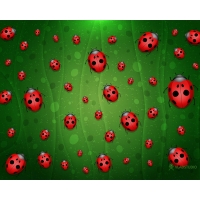 All is Full of Ladybugs 3d       