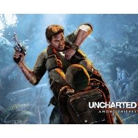 Uncharted 2: Among Thieves       