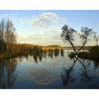 Озеро обои (6 шт.) Озеро обои (6 шт.)