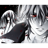 Vampire Knight обои для рабочего стола высокого разрешения Vampire Knight обои для рабочего стола высокого разрешения