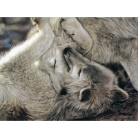 A Tender Moment, Lesley Harrison бесплатные картинки на рабочий стол и обои A Tender Moment, Lesley Harrison бесплатные картинки на рабочий стол и обои
